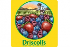 Driscolls-logo