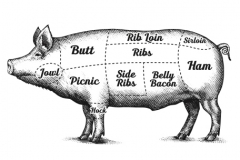 Pig-woodcut