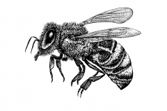Bee-art