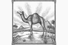 Camel_Egyption