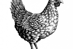 Chicken art 2