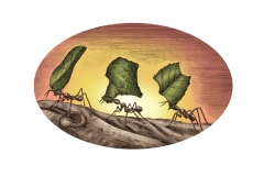 Leaf_Eater_Ants