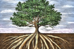 Oak-Tree-Roots