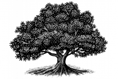 Old-Oak-Tree--