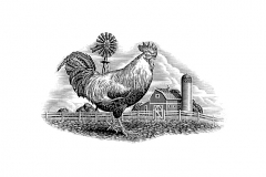 Rooster_Woodcut