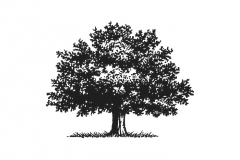 Tree_Icon