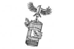 Bird-Cage-art