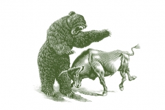 Bull_vs_Bear