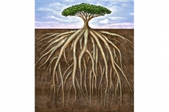 Tree_Roots