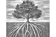 tree-roots