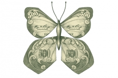 Financial_Butterfly_2