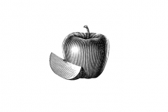 Apple Woodcut