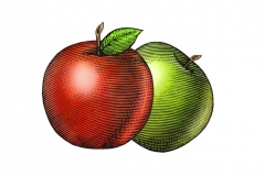 Apples_002