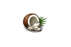 Coconut_Woodcut