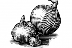 Garlic art