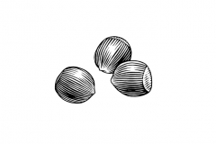 Hazelnuts-art
