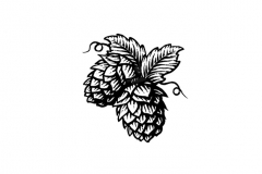 Hops-art1