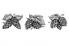 Hops_Icons