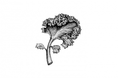 Kale-art