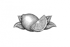 Lemon-art