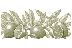 Lemons