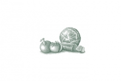 Lettuce_Tomato