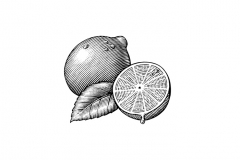 Lime-art