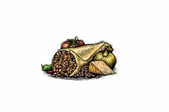 Mexican_Burrito