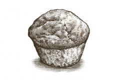 Muffin_Woodcut