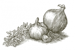Onion_and_Garlic