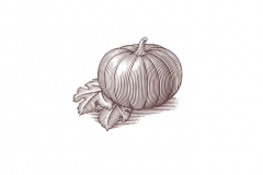 Pumpkin-Art_2