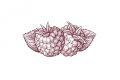 Raspberries-art