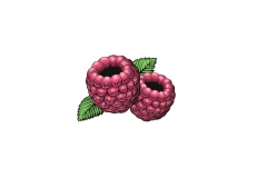 Raspberry_2