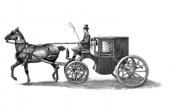 Horse_Buggy