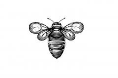 Bee art