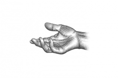 Hand_icon