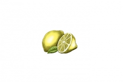 Lemon_Icon