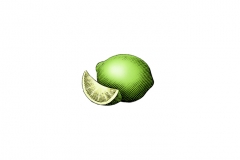 Lime_icon