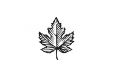 Maple-Leaf-Icon