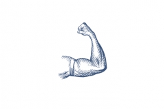 Muscular-Arm-art