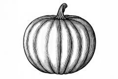 Pumpkin-art