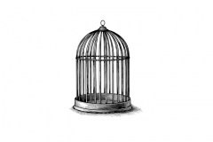 Rev-Bird-Cage-art