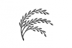 Rice-Logo-art