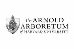 The-Arnold-Arboretum-Logo