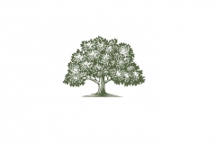 Tree-Icon