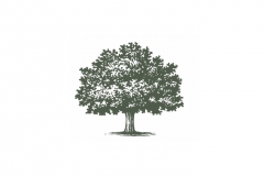 Tree-Woodcut