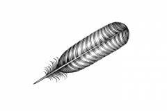 Turkey-Feather-Art