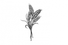 Wheat-art