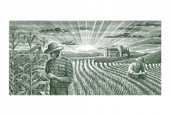Corn-Field-art