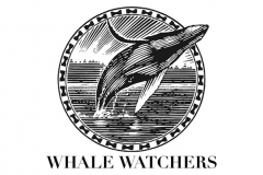 humback_whale
